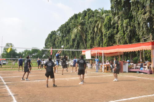 DSC 0493